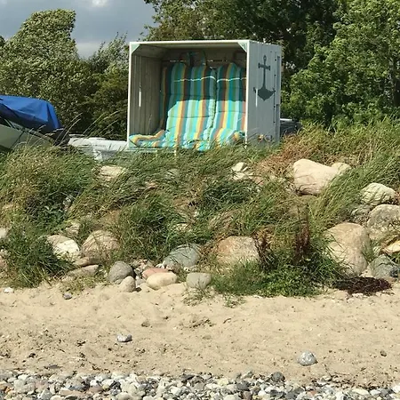 Zirkuswagen Buena Vista *